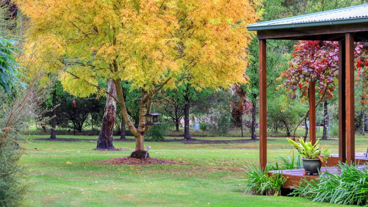 Beechworth Cedar Cottages מראה חיצוני תמונה